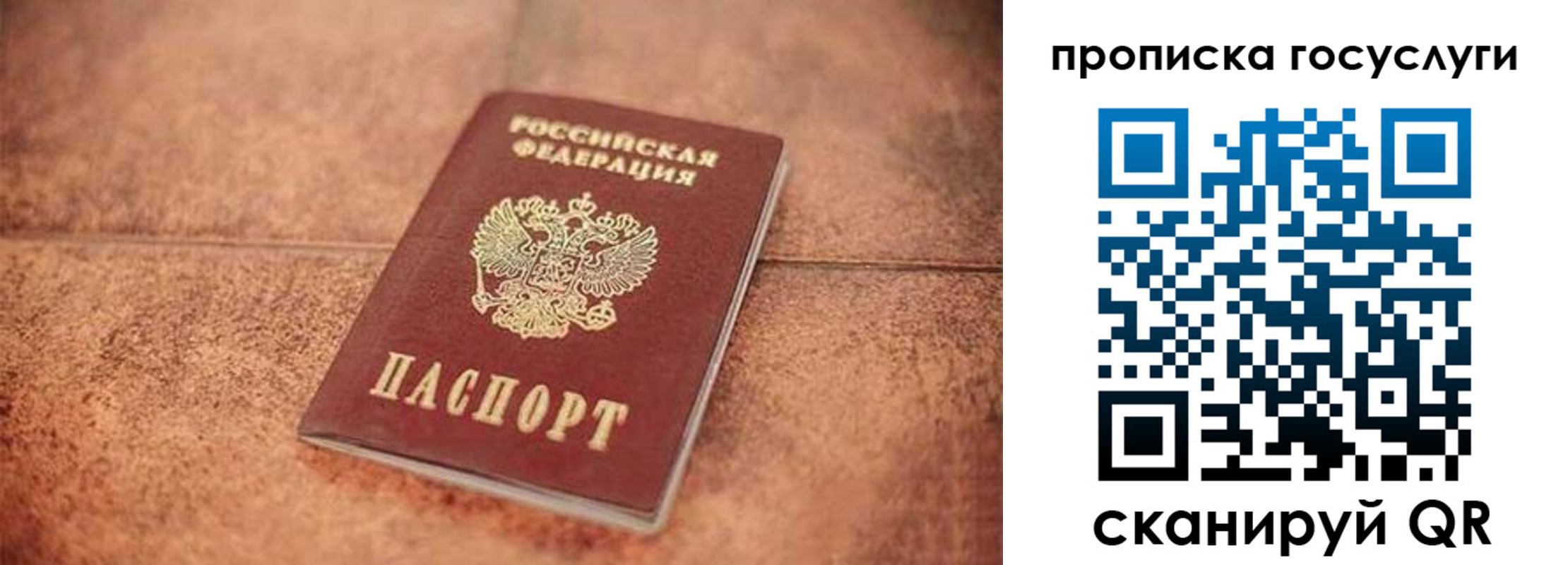 прописка законно в Железногорск-Илимском